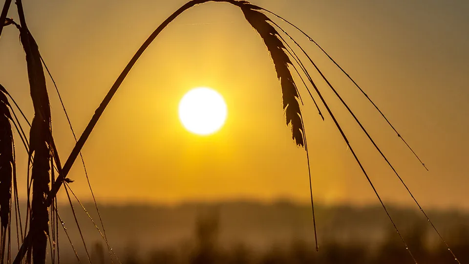 Фото: Антон Кондратюк
