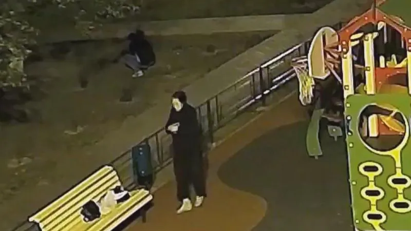 Мать с сыном подозреваются в краже туй для своего участка в Жуковском