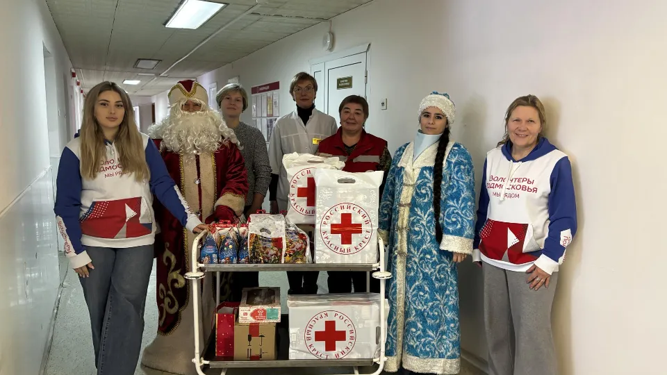 Фото: пресс-служба администрации г.о. Воскресенск