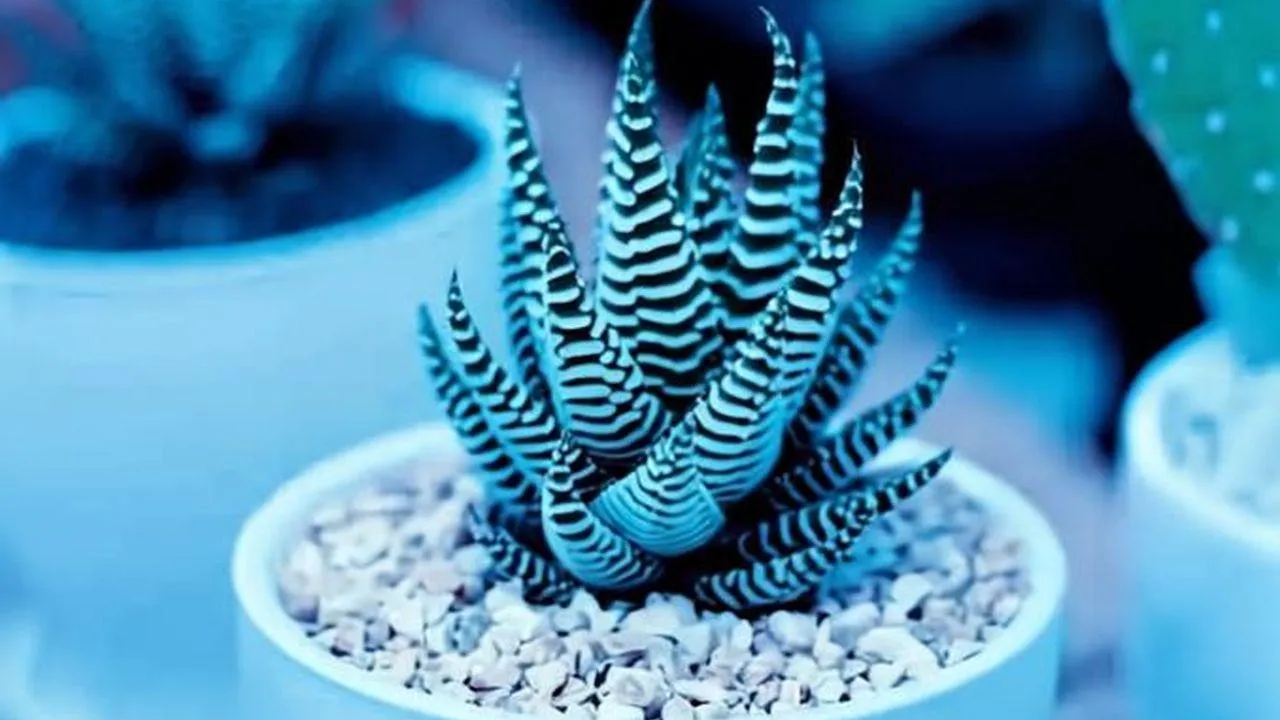 REGIONS/Сгенерировано нейросетью