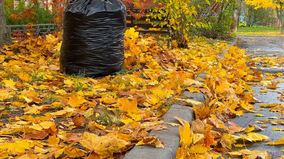 Фото: REGIONS/Владимир Ерастов