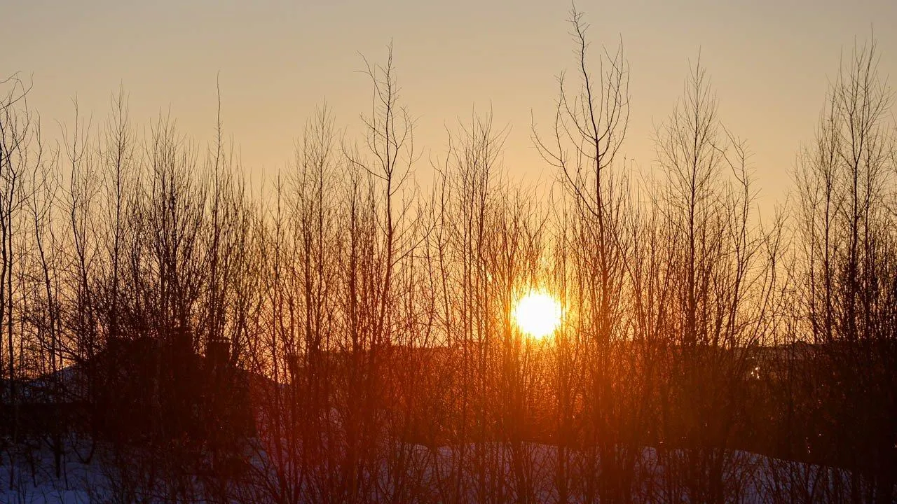 REGIONS/Роман Малышенко