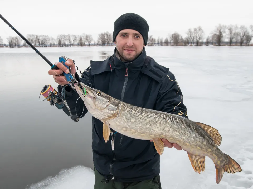 Фото: istockphoto.com/FedBul&nbsp;