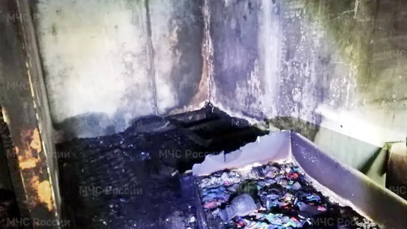 Фото: МЧС России<br>