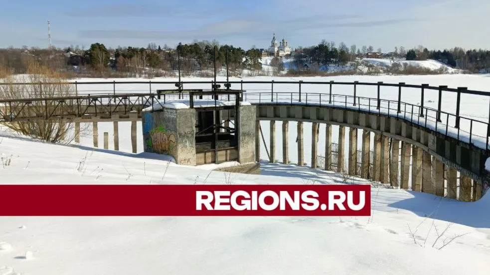 Фото: Евгений Рой