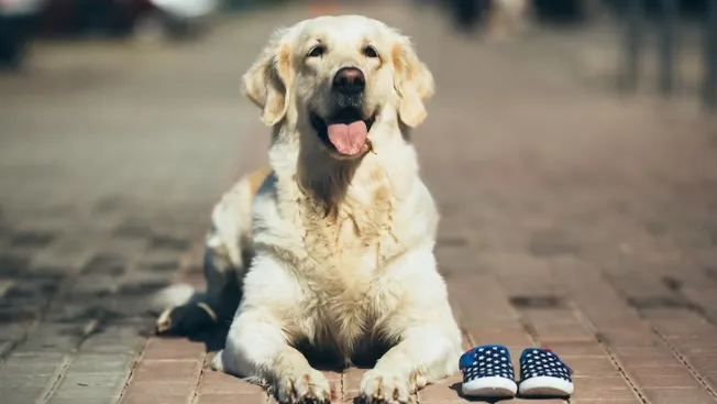 Фото: ru.freepik.com