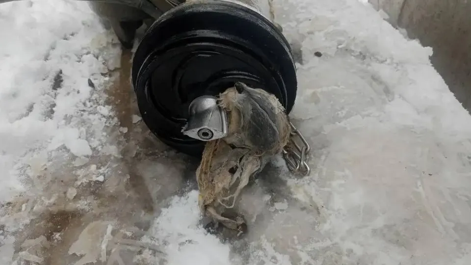 Фото: t.me/vodokanalpodolsk