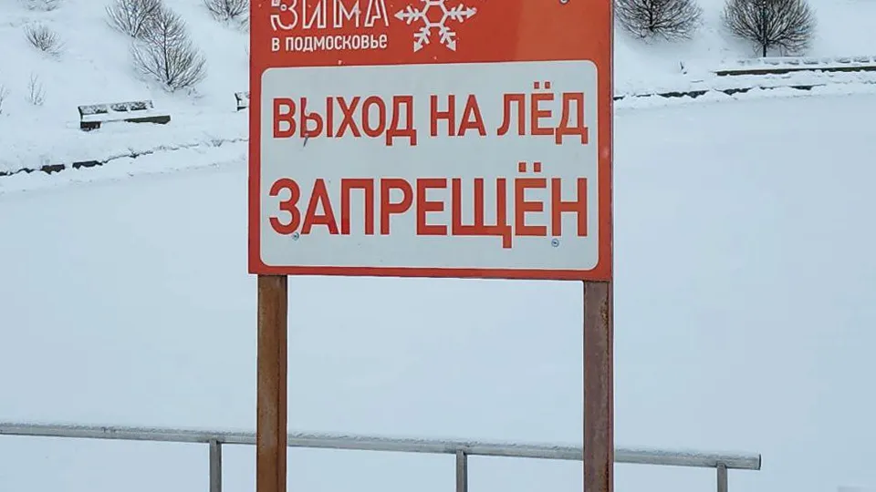 Фото: МедиаБанк Подмосковья/Мария Амелина