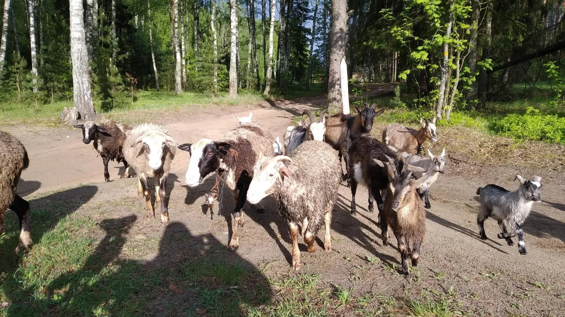 Фото: личный архив Александры Махотиной