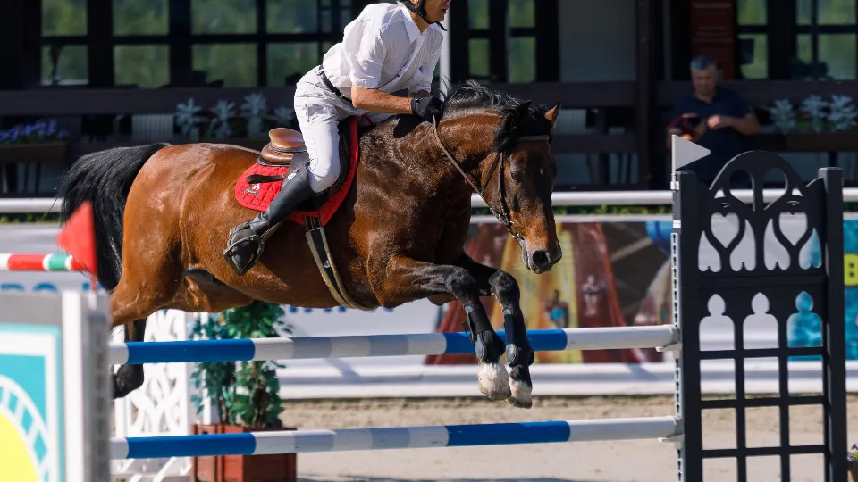 Фото: медиасток.рф