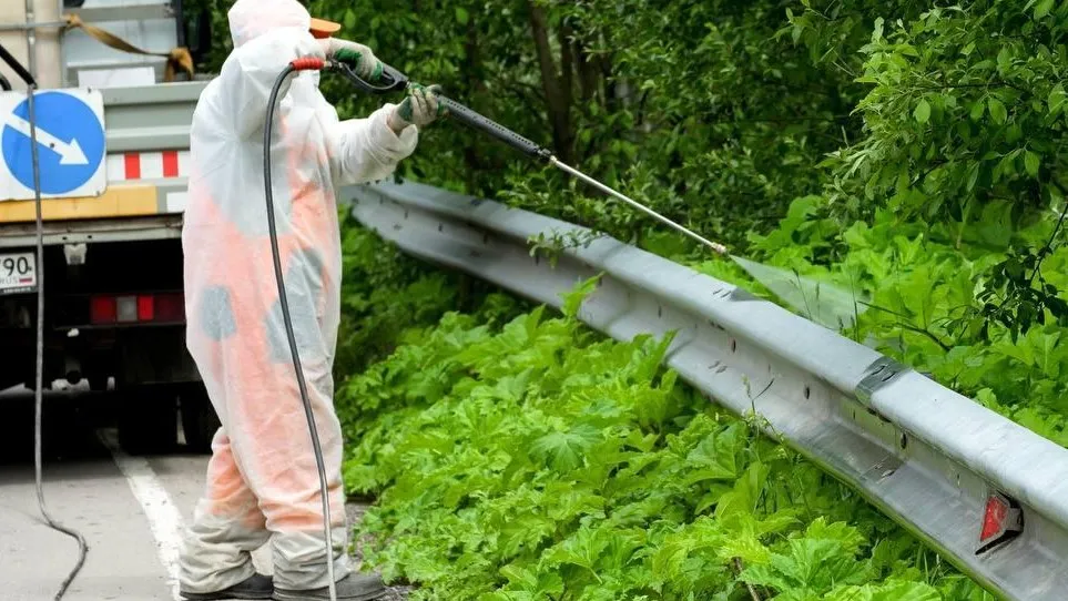 Фото: Министерство транспорта и дорожной инфраструктуры Московской области