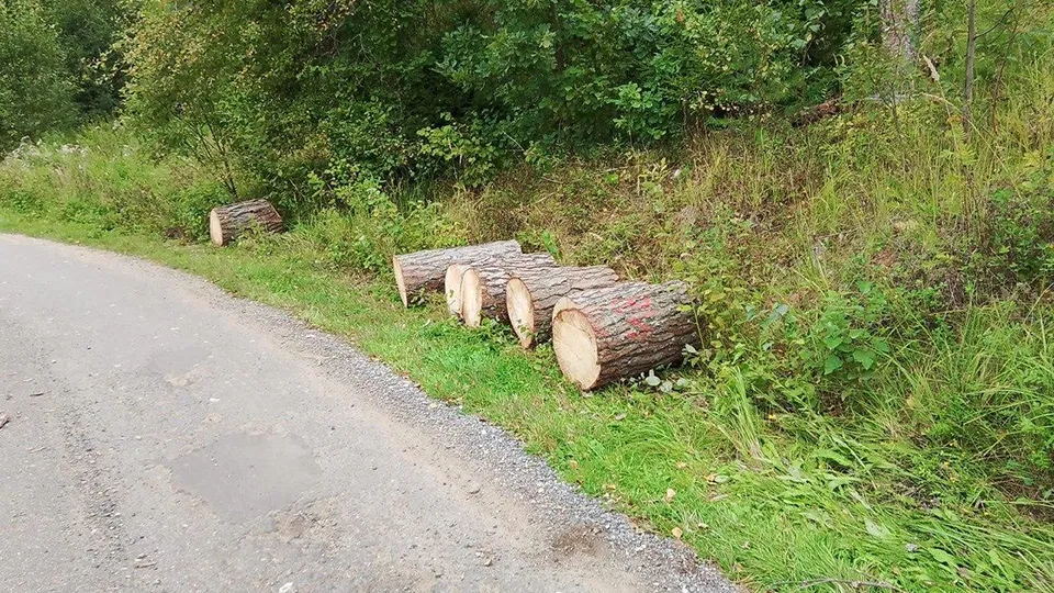 Комлесхоз МО