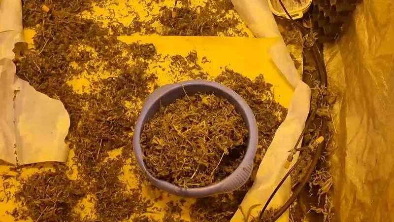 ГУ МВД по МО