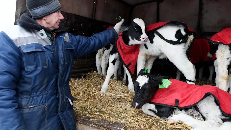 Фото: РИА Новости/Максим Богодвид