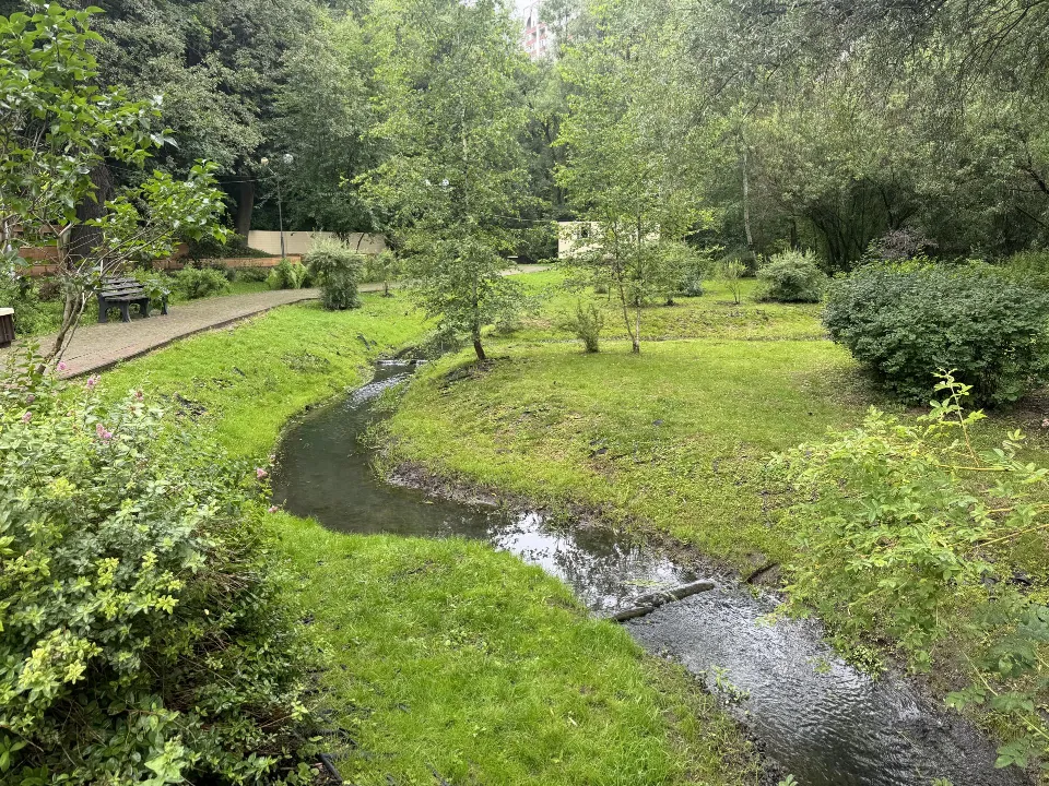 Фото: Полина Абраменко