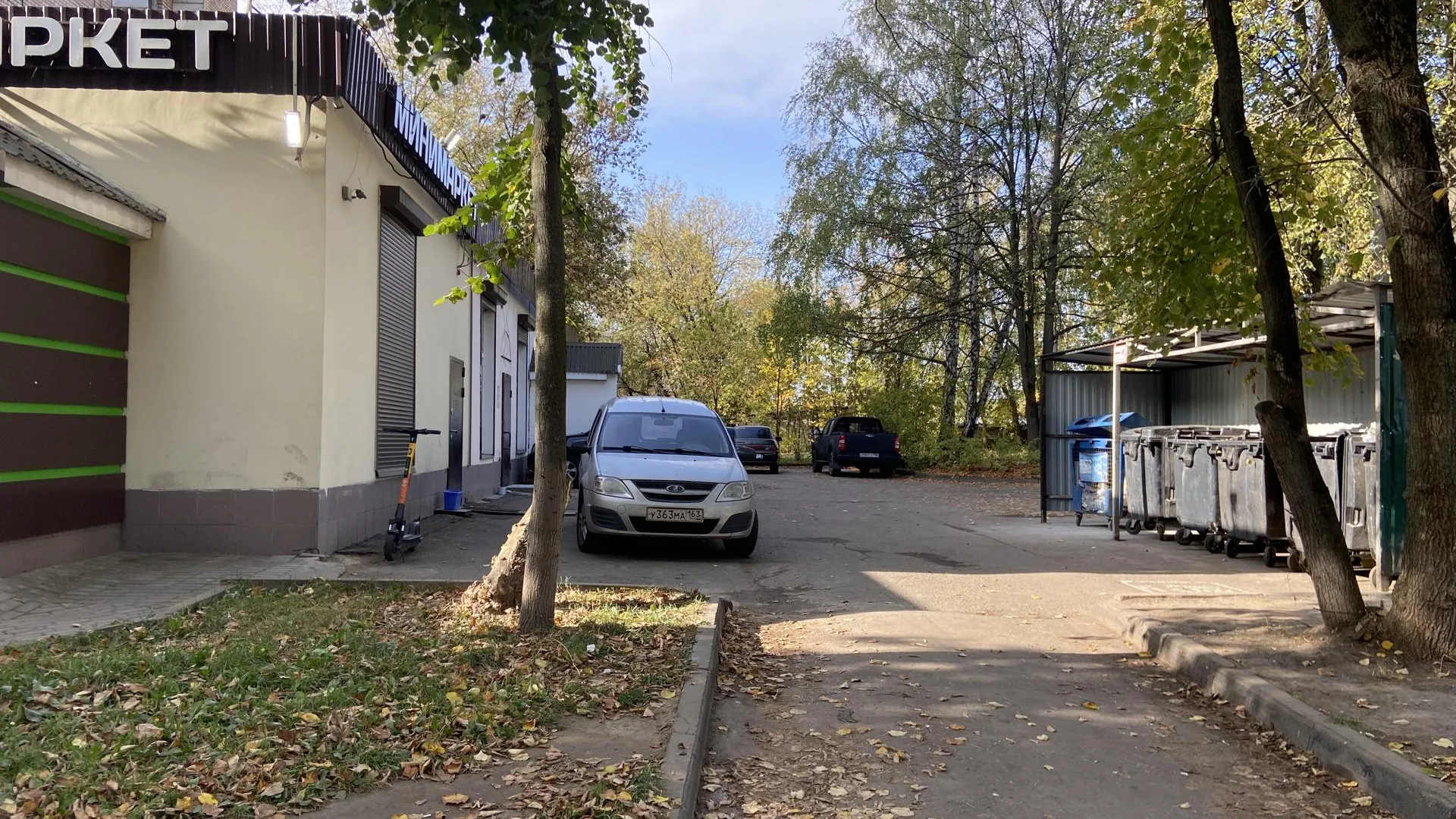 Светлана Борщева