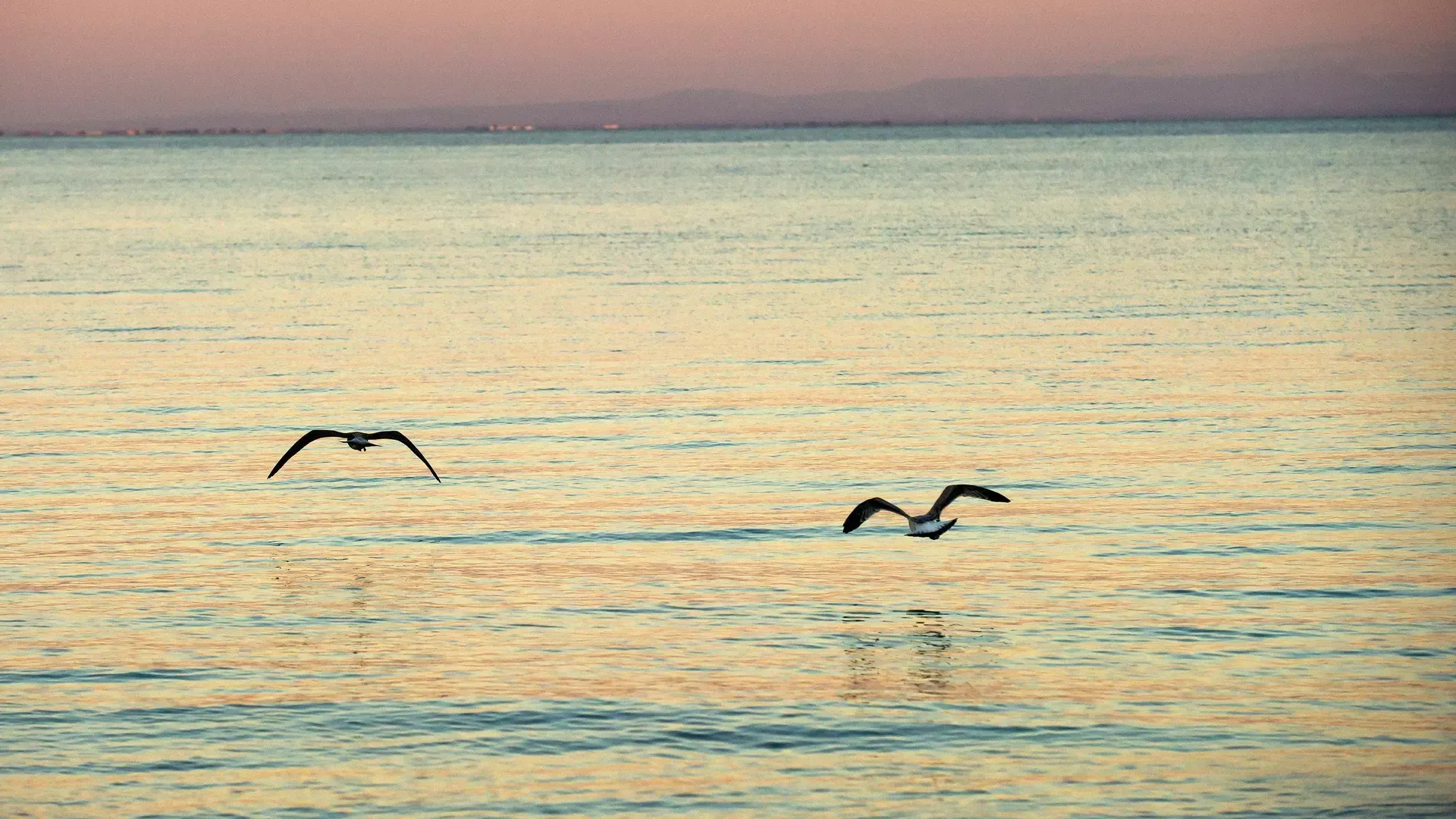 Побережье Кинбурнской косы заполонили приплывшие из Одессы морские мины ВСУ