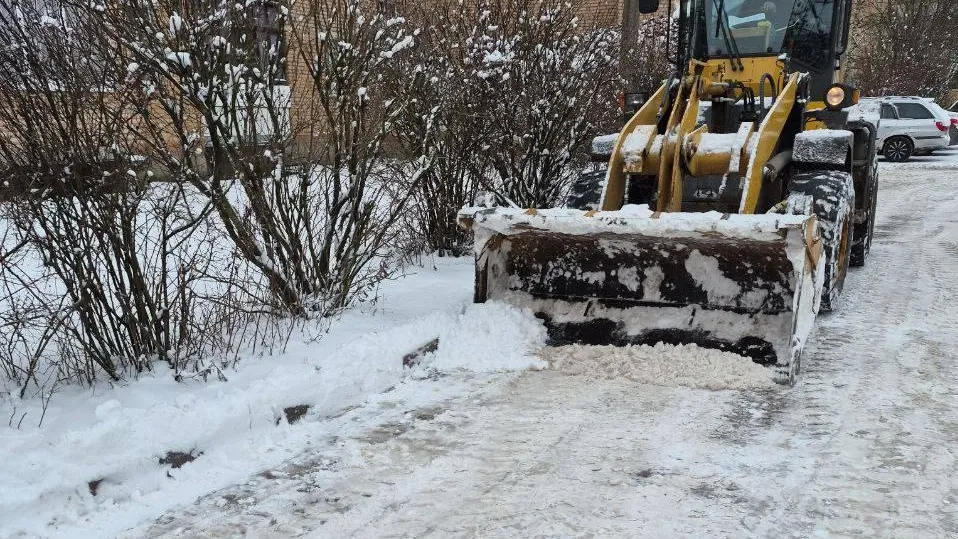 Фото: пресс-служба администрации Наро-Фоминского г.о.