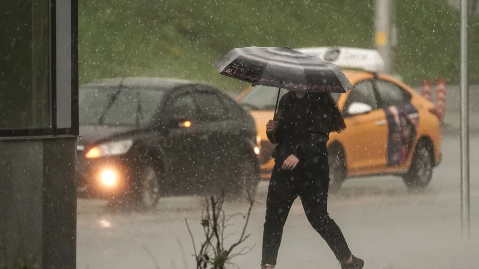 Фото: медиасток.рф