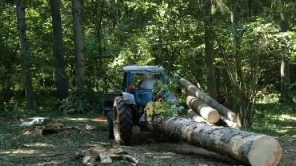 Фото: Комитет лесного хозяйства Московской области