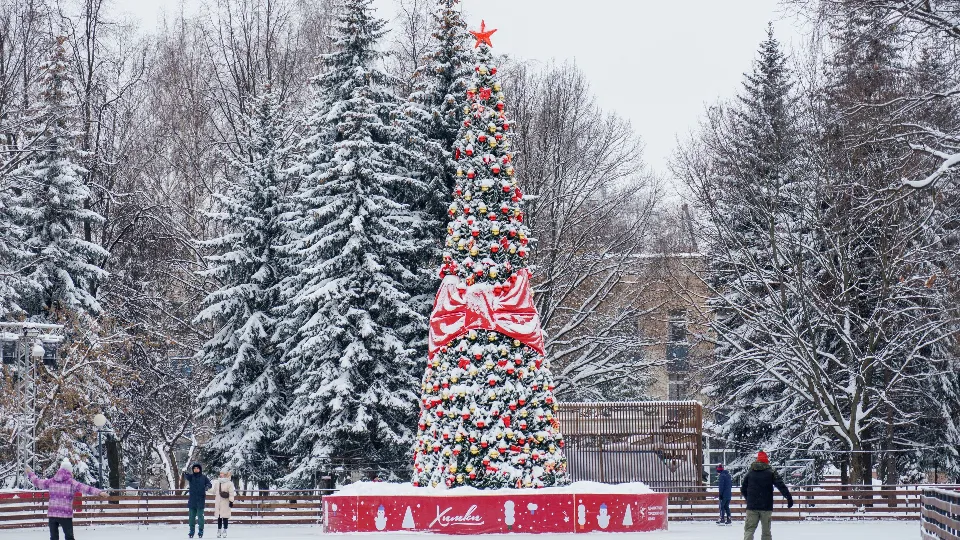 Фото: медиасток.рф