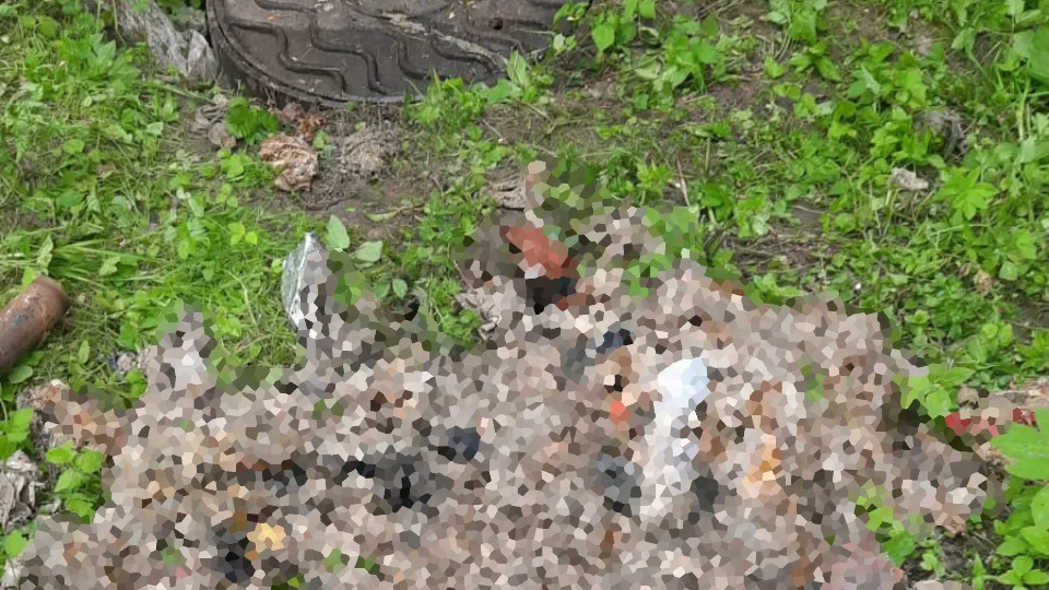 Фото: соцсети