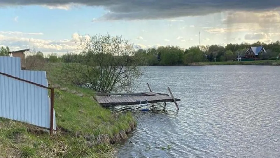 Фото: пресс-служба Министерства экологии и природопользования Московской области