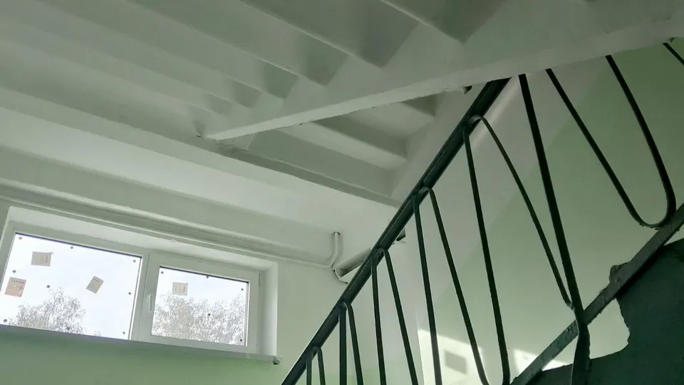 Фото: Администрация Богородского городского округа