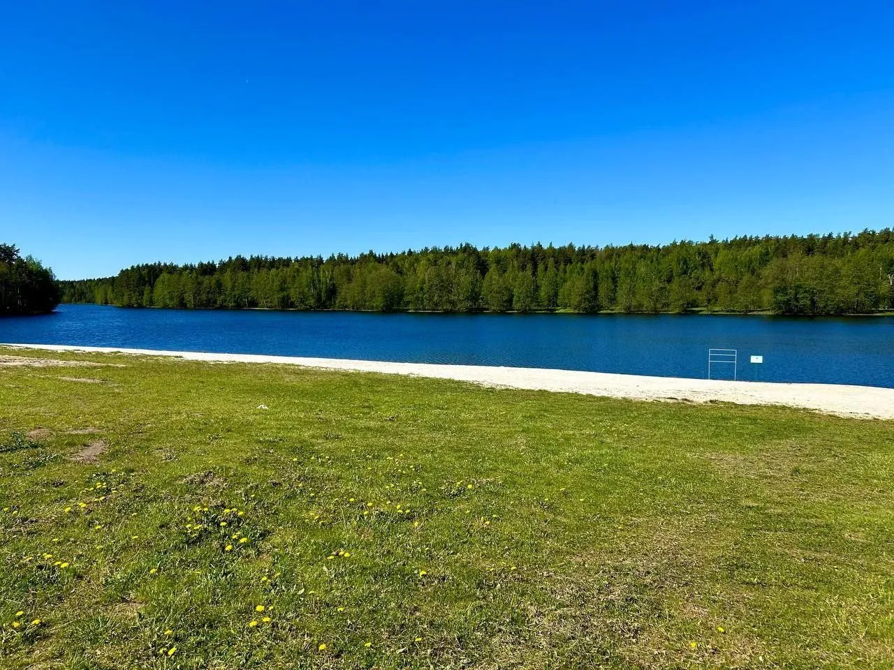 Фото: министерство благоустройства Московской области