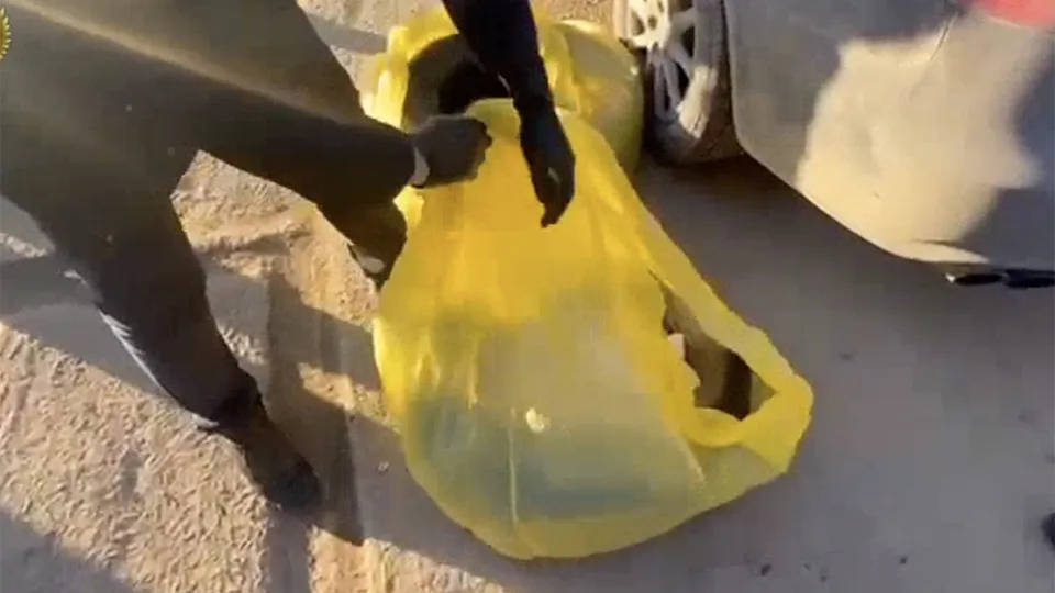 Фото: пресс-служба прокуратуры Московской области