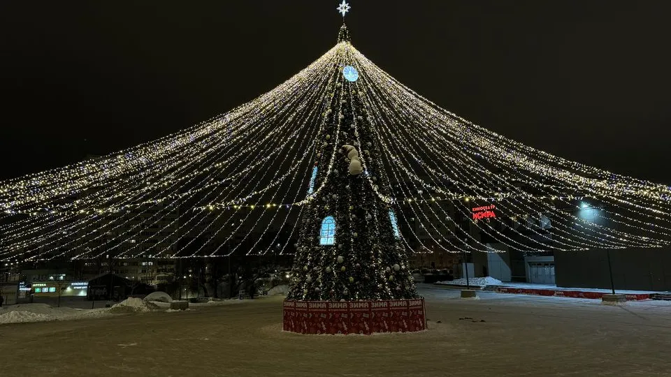 Фото: МедиаБанк Подмосковья/Полина Абраменко