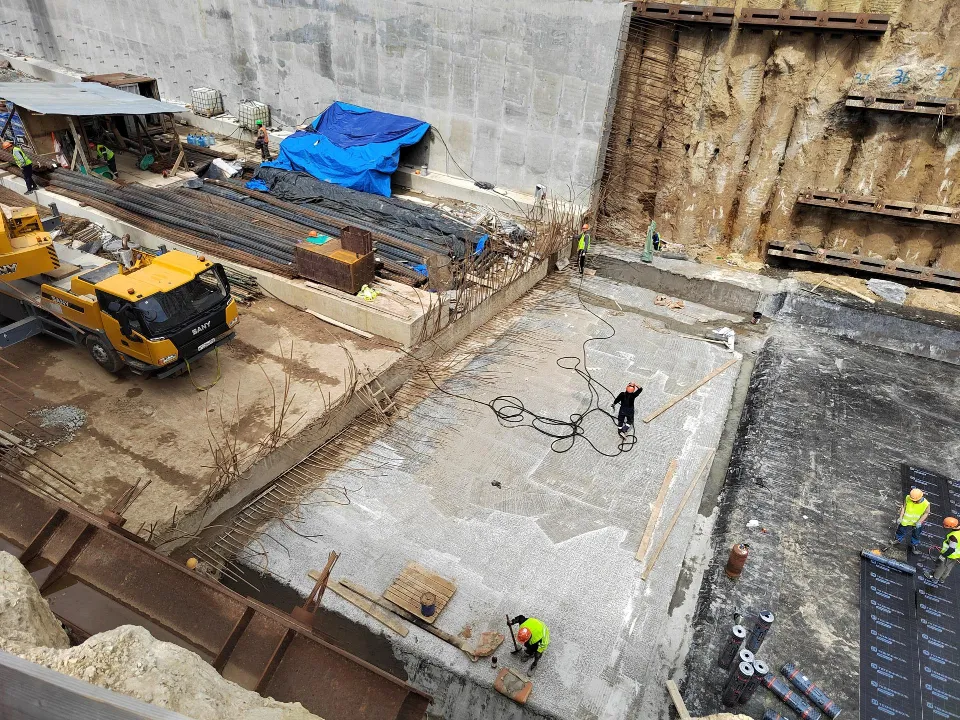 Фото: пресс-служба администрации г. о. Красногорск