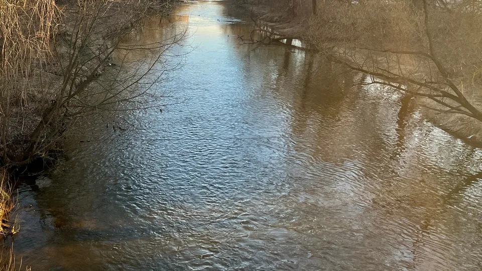 Фото: МедиаБанк Подмосковья/Анна Тюрюмина