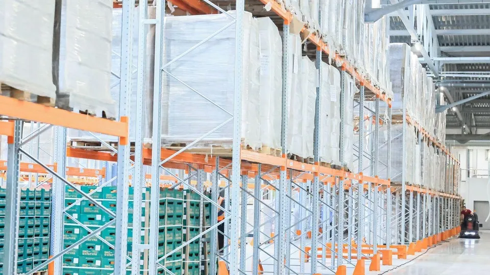 Фото: Медиасток Подмосковья/Константин Семенец