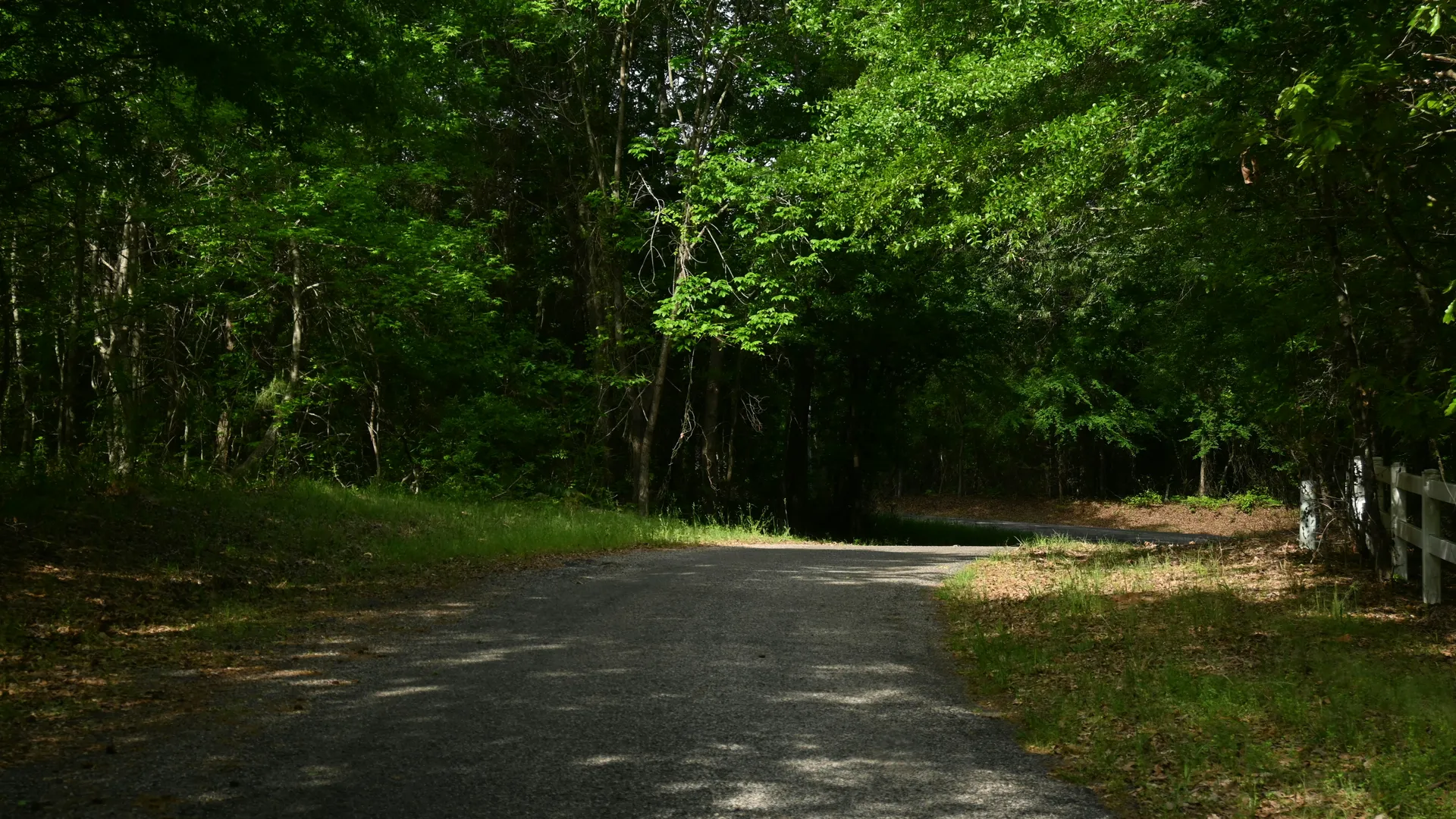 Фото: unsplash.com