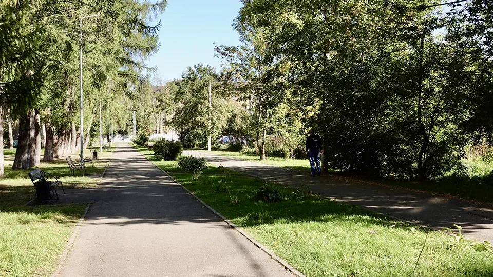 Фото: МедиаБанк Подмосковья/Дарья Леонова