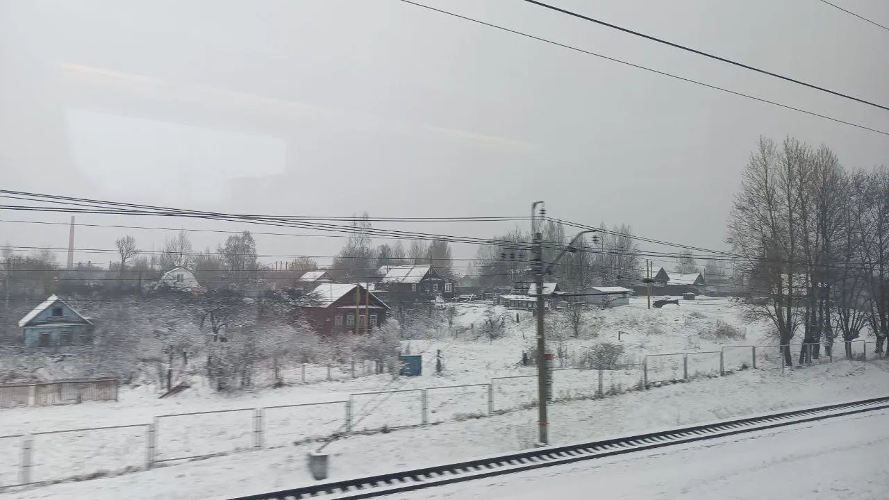 Фото: соцсети