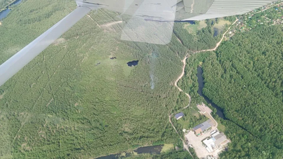 Фото: Комитет лесного хозяйства Московской области