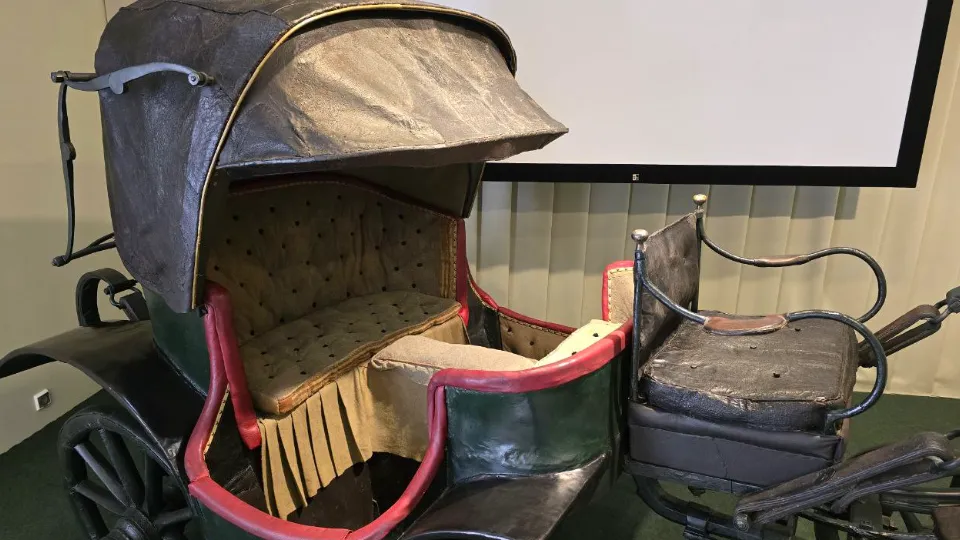 Фото: МедиаБанк Подмосковья/Яна Шаливская