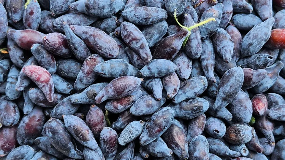 Фото: Ксения Пашуто