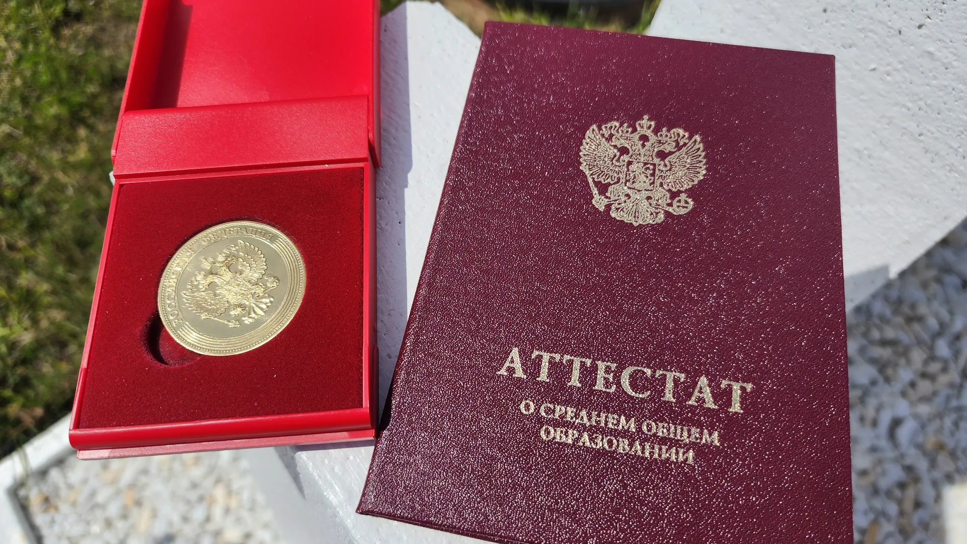 Фото: Медиабанк Подмосковья/Наталья Дорошева