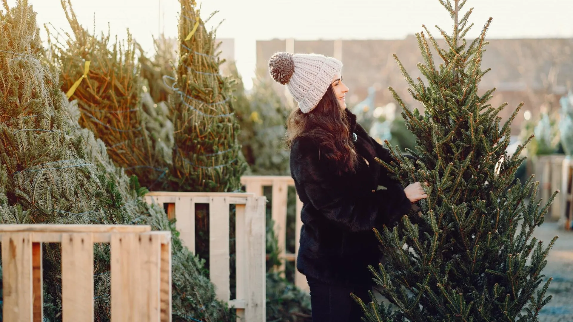 медиасток.рф