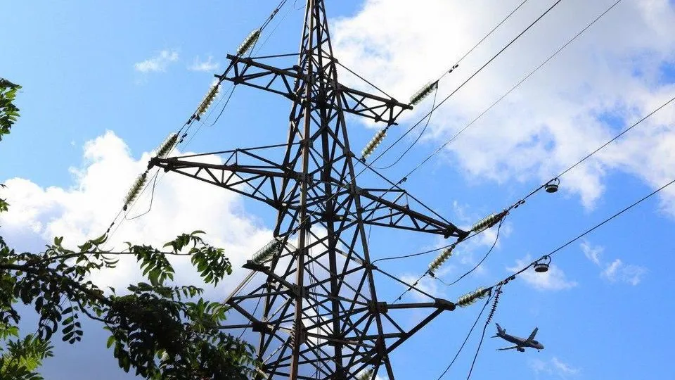 Фото: Пресс-служба администрации городского округа Мытищи