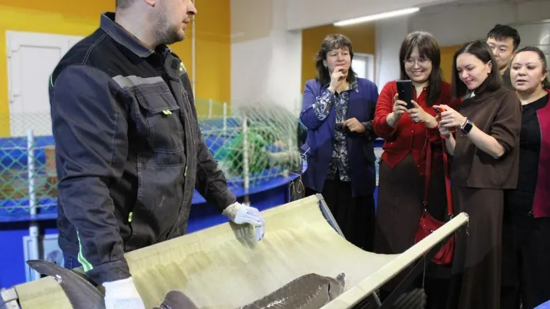 Фото: пресс-служба ФИЦ ВИЖ им. Л. К. Эрнста