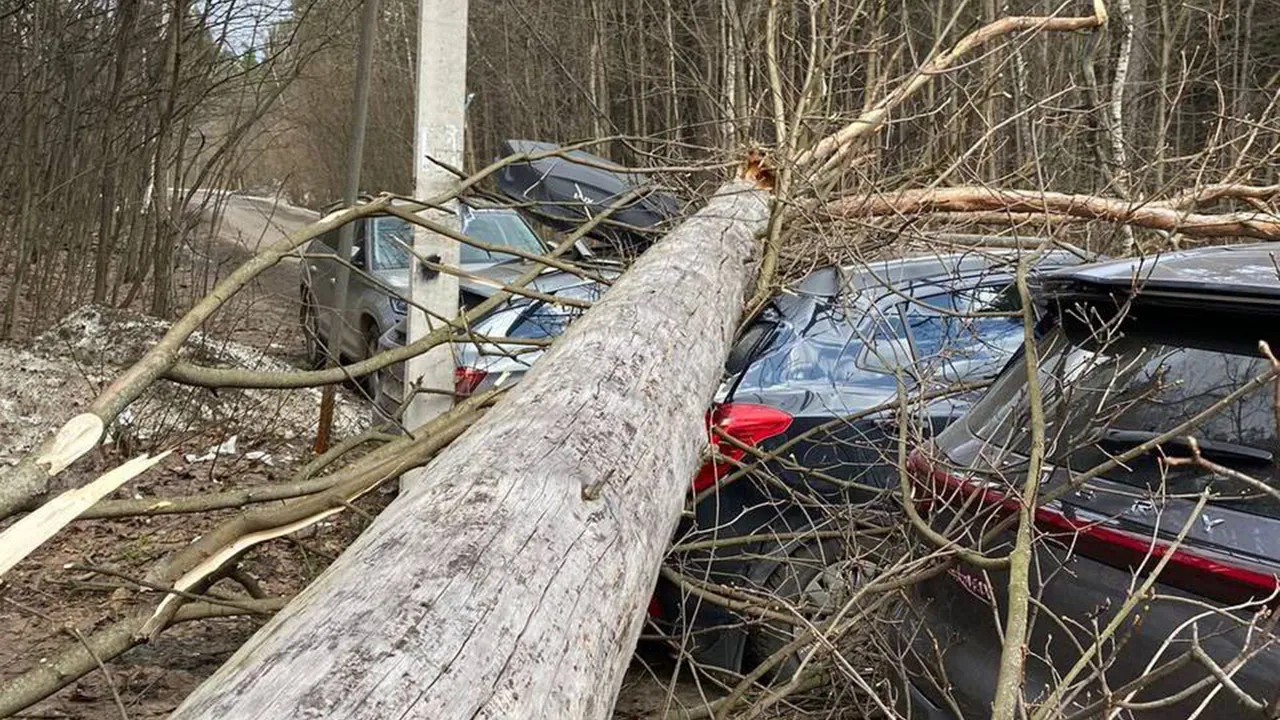 Фото: t.me/pushkino_official