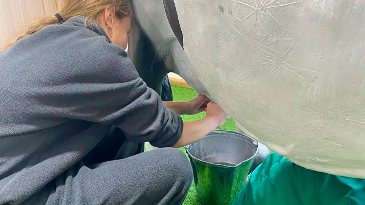 vk.com/МБОУ «Лицей № 5»