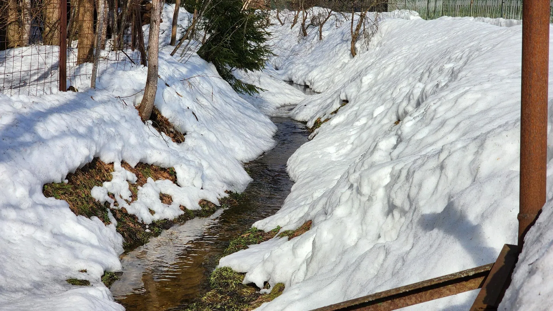МедиаБанк Подмосковья/Екатерина Данилина