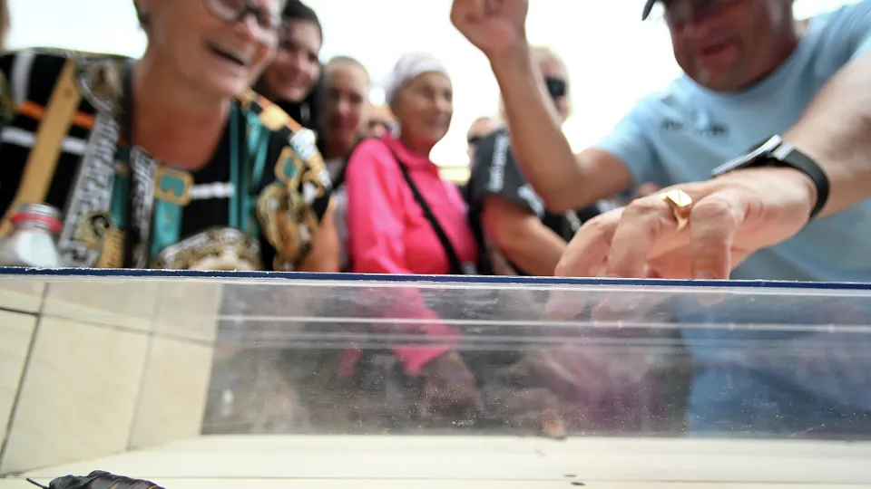 Фото: РИА Новости/Максим Богодвид