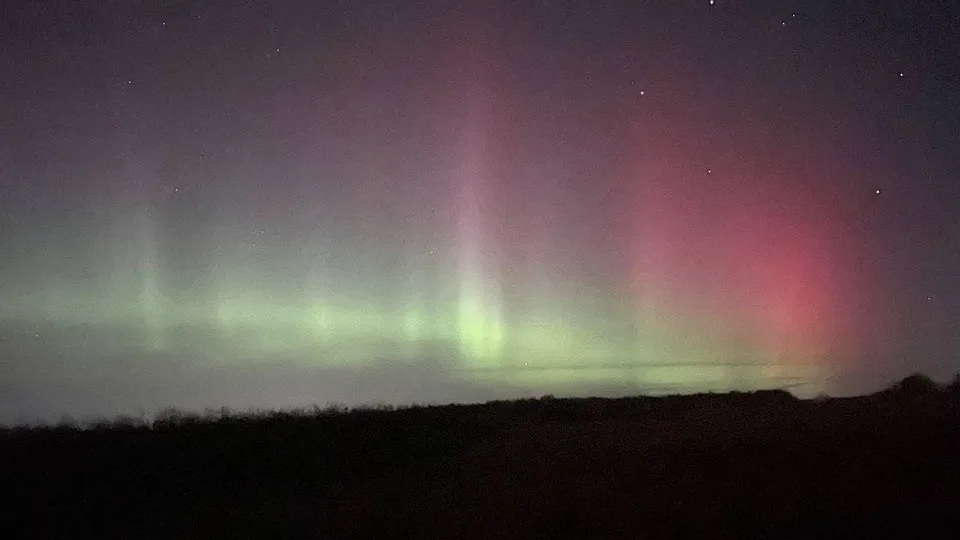 Фото: МедиаБанк Подмосковья/Дарья Леонова