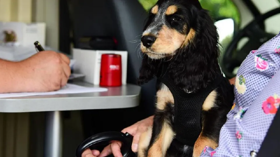 Фото: Министерство сельского хозяйства и продовольствия Московской области